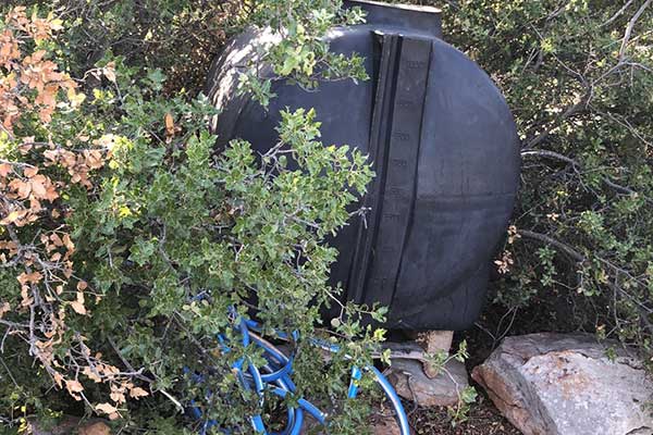 04082022fyteiesdytellada001