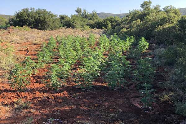 04082022fyteiesdytellada002