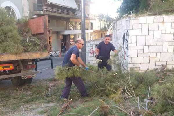 241125879 404411891399092 7876016733707494636 n