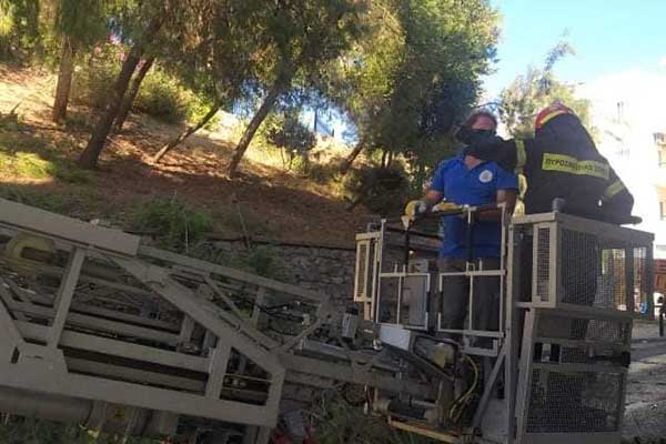 241288459 404411664732448 8398315761384504606 n