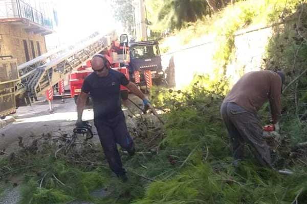 241299095 404411791399102 6212299477484842560 n