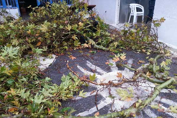 75105721 453399432201113 7699769750519283712 n