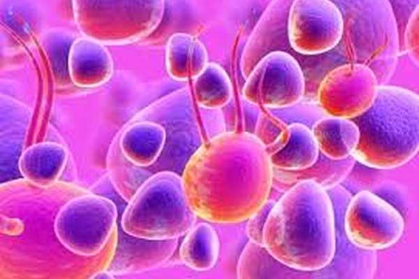 Βλαστοκύτταρα: Γιατί να τα φυλάξω;