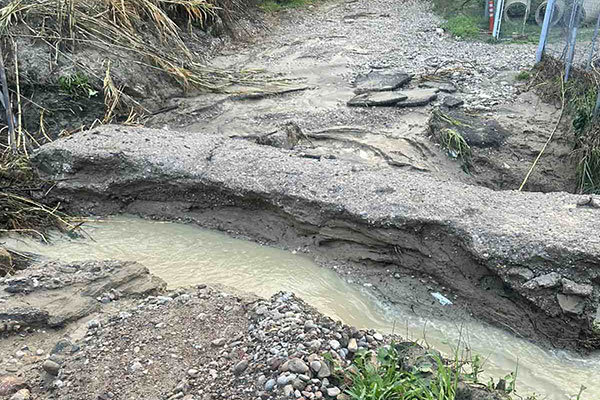 628472064 122252696516177802 2085101403528826850 n