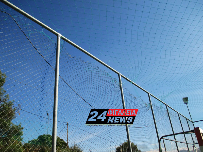 12961146 1115897461805992 2065874970826051622 o