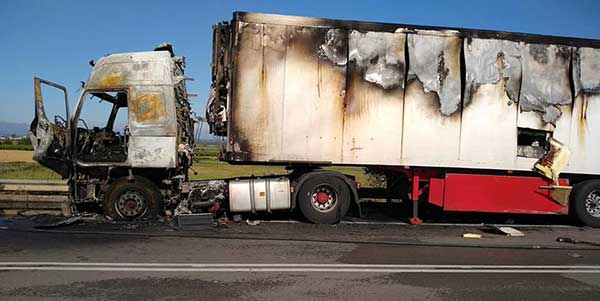 95950452 10214684469300239 4207165704769634304 n