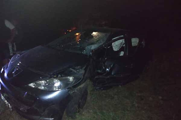 102469585 2572013509730284 8397296529861246976 n