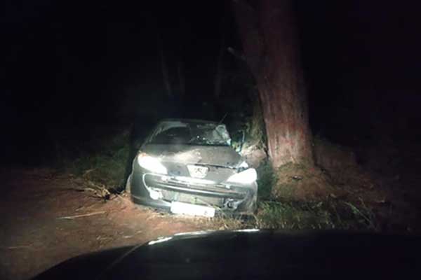 102699969 2572013403063628 3167183388868083712 n