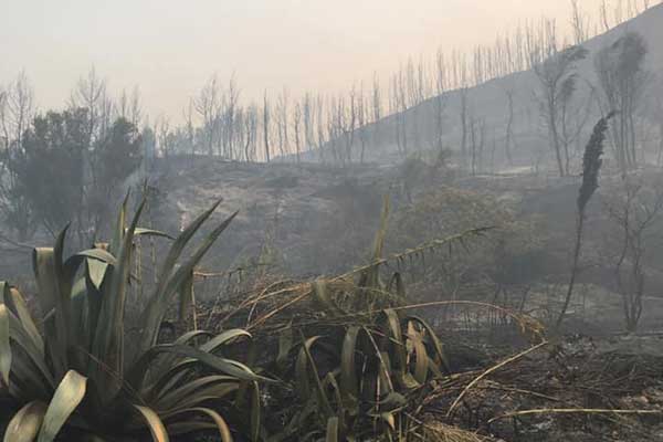 226681883 4202761733138985 8511568178310754290 n