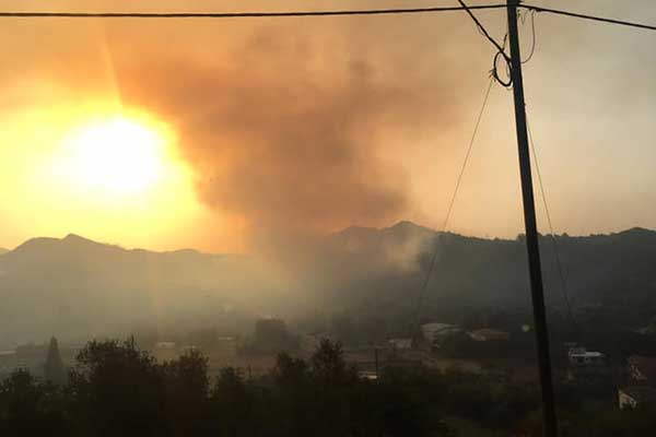 227582346 1625289224333421 2608144815531755351 n