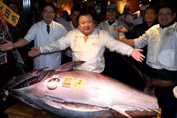 Βίντεο: Δείτε τo ψάρι «Γολιάθ» που αγόρασε εστιάτορας έναντι... 600.000 ευρώ!