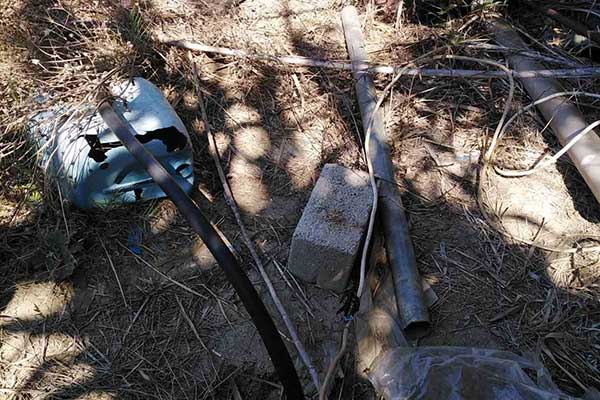 06102021dendriliahleia008