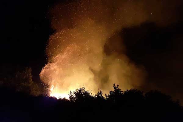 2---2022-07-06T141555.114