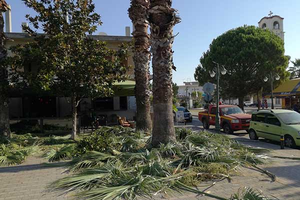 69544565 102398534480300 6594057847825235968 o