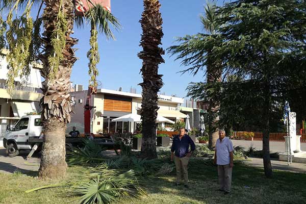 69564633 102398571146963 5574984871534657536 n