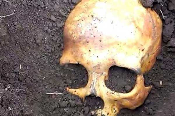 Βρήκε κρανίο στον κήπο του και μαζί το ένοχο μυστικό της γυναίκας του: «Μην ανησυχείς, είναι ο πρώτος μου άνδρας»