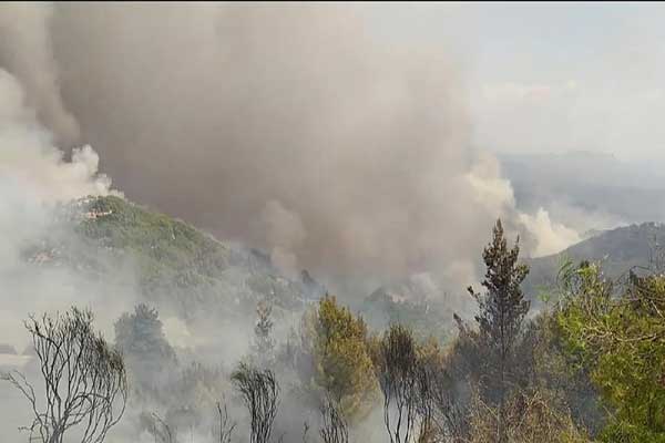 229442152 10223827264422757 5373913309529129470 n