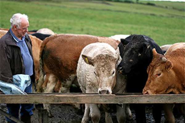 Ενιαίο στα 45 ευρώ το πριμ στη Βιολογική Κτηνοτροφία