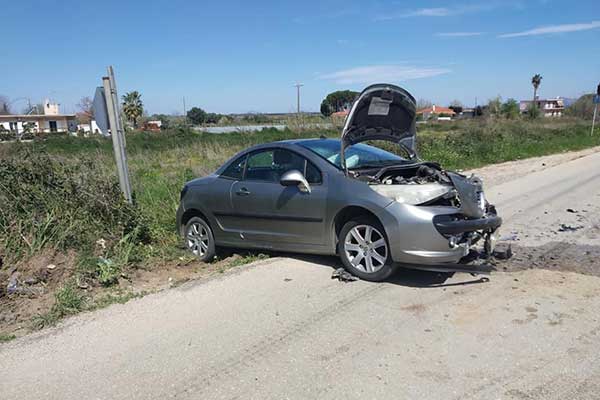 92312324 2528776030720699 7033062423837802496 n