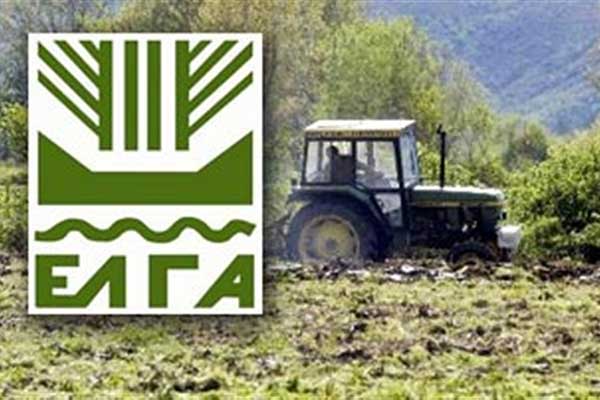 Ηλεία: Αποζημιώσεις ύψους πάνω από 700 χιλ. ευρώ καταβάλλει ο ΕΛ.Γ.Α. για ζημιές στη Φυτική Παραγωγή και το Ζωικό Κεφάλαιο
