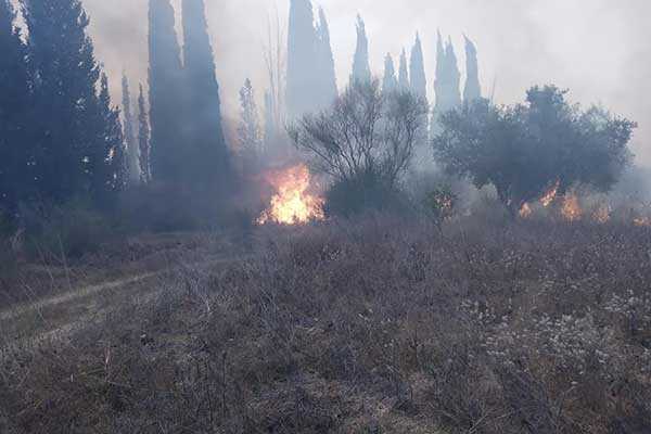 119034002 2649787061952928 3299261510711551256 n