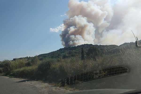 119048746 2649775418620759 6200704060947703256 o