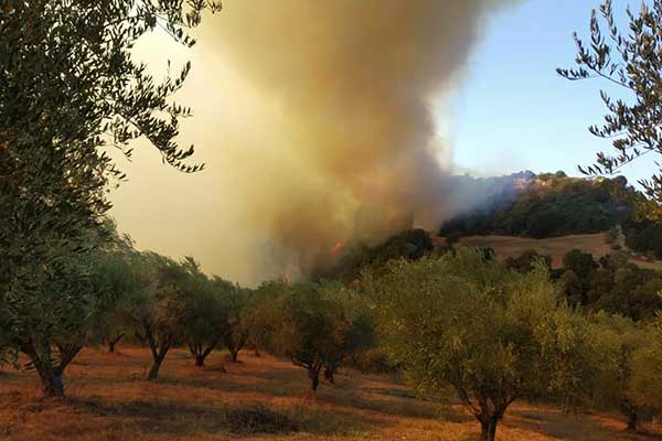 119058185 2649786911952943 1467292513459773184 n