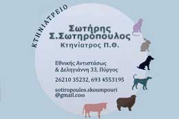 sotiropoulos banner